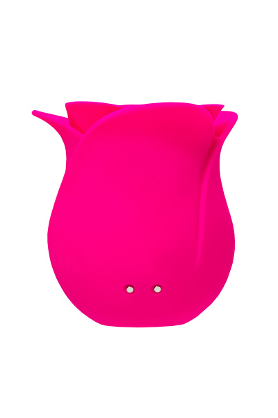 Вакуум-волновой стимулятор клитора Satisfyer Pro 2 Modern Blossom, силикон, бордовый, 6,6 см