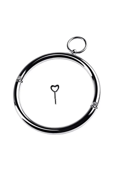 Ошейник металлический с кольцом маленький,TOYFA Metal,