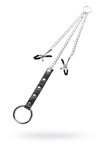 Зажимы для сосков с кольцом для пениса, TOYFA Metal, 