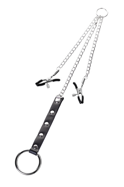 Зажимы для сосков с кольцом для пениса, TOYFA Metal, 